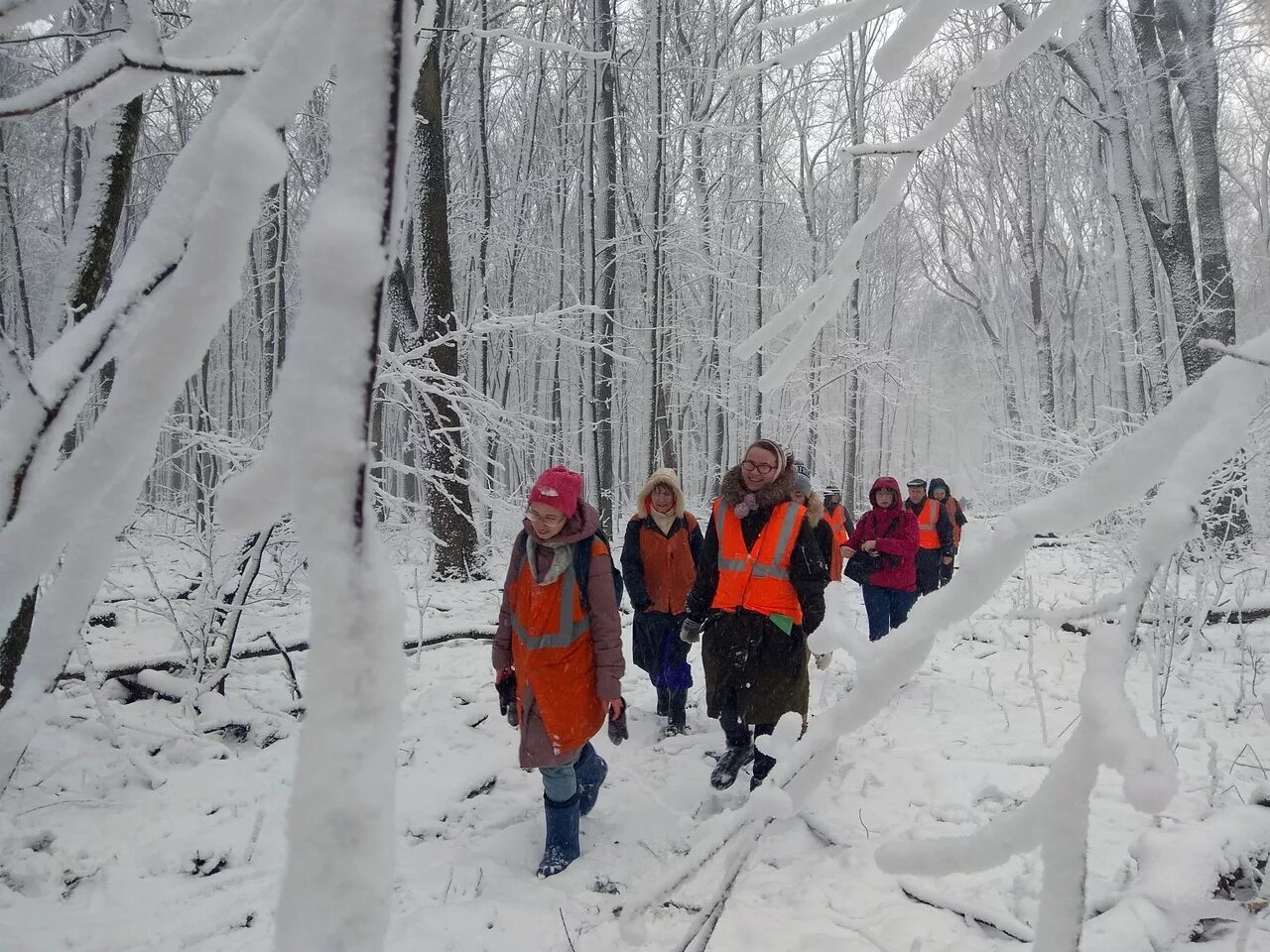 Учет диких животных. Лесные животные кыргызстана. Зимний маршрутный учет охотничьих животных. Косуля сибирская исетск. Лесные животные кыргызстана.