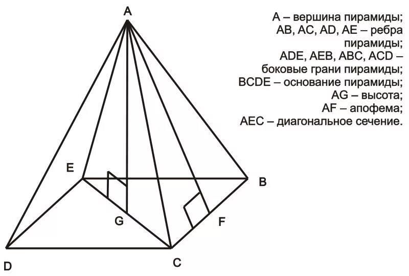 Правильная 4 пирамида. Пирамида основание вершина боковые грани. Элементы пирамиды вершина ребра грани основание. Боковая грань правильной четырехугольной пирамиды. Элементы четырехугольной пирамиды.