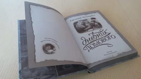 Дневник домового аудиокнига