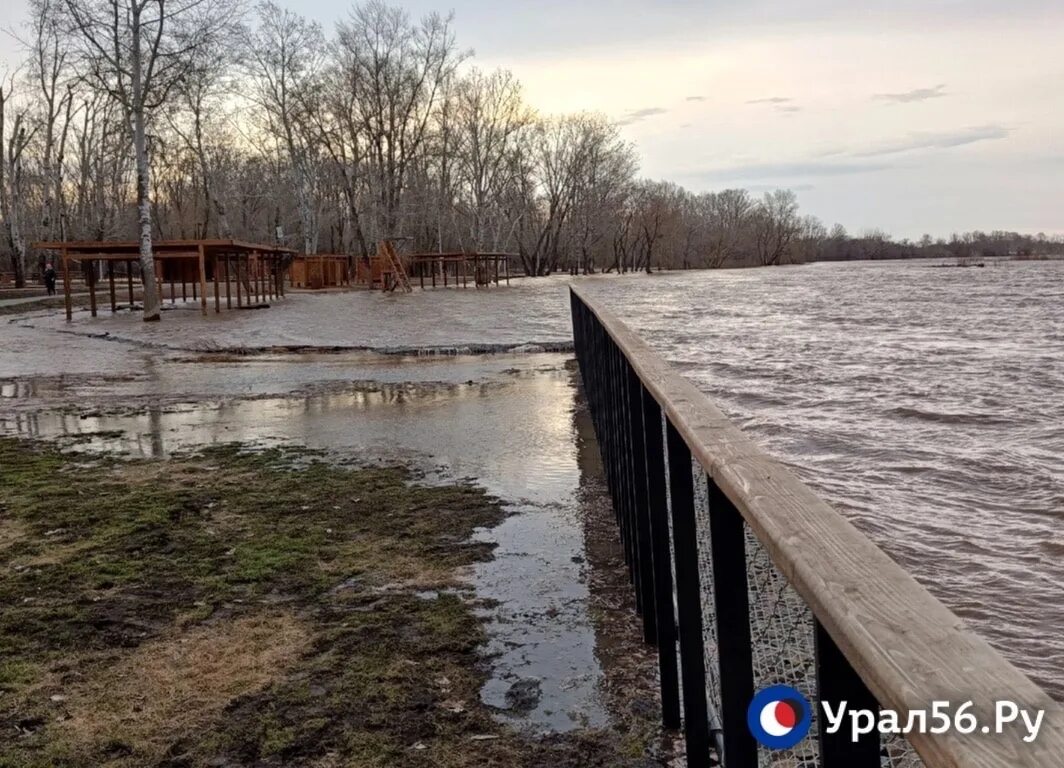 Оренбург разлив урала. Разлив Урала в Оренбурге. Набережная реки Урал Оренбург. Оренбург река Урал разлив. Апрель половодье.