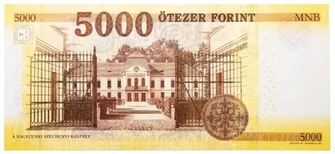 5000 0000
