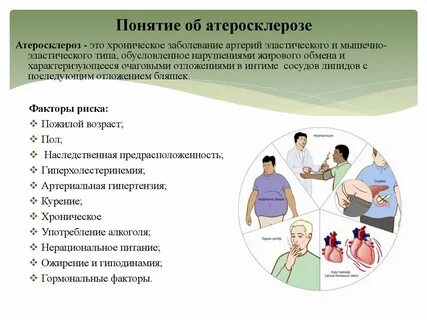 Сосудистый возраст