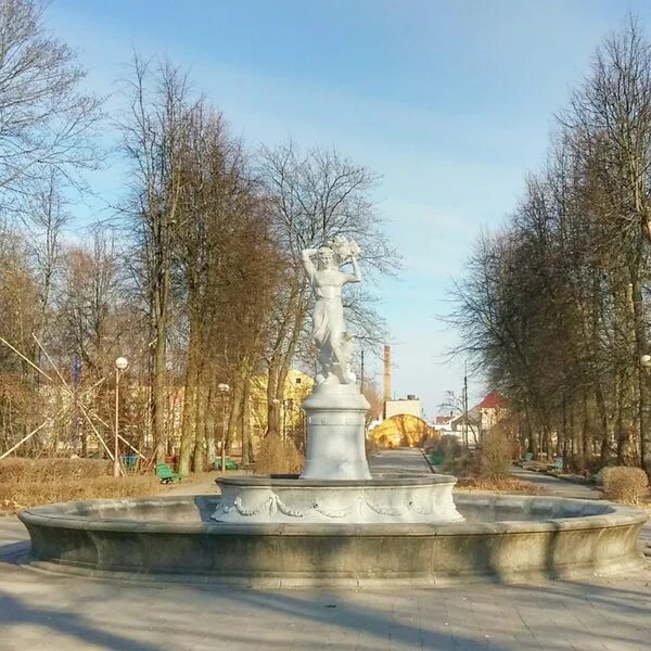 Молодой парк. Парк липовая роща. Парк молодежный красноярск. Молодой парк. Молодой парк.