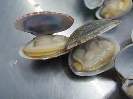 Ракушки замороженные