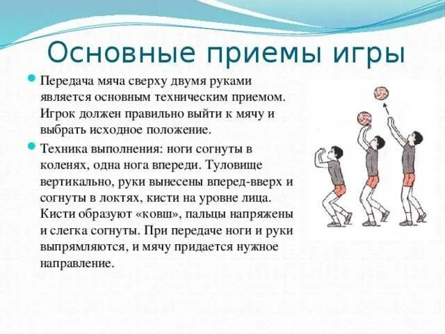 Реферат по правилам физкультуре