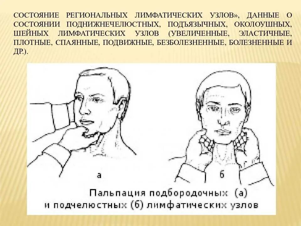 Обследование лимфоузлов