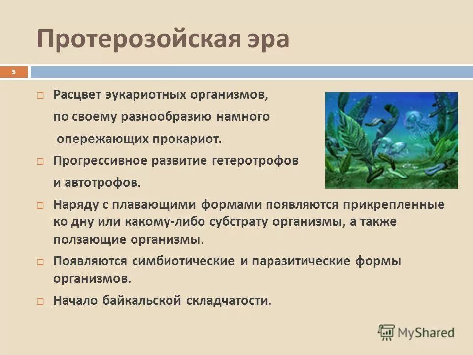 Выход прокариот на сушу. Характеристика протерозойской эры таблица. Протерозойская Эра. Протерозойская Эра презентация. Протерозойская Эра описание.