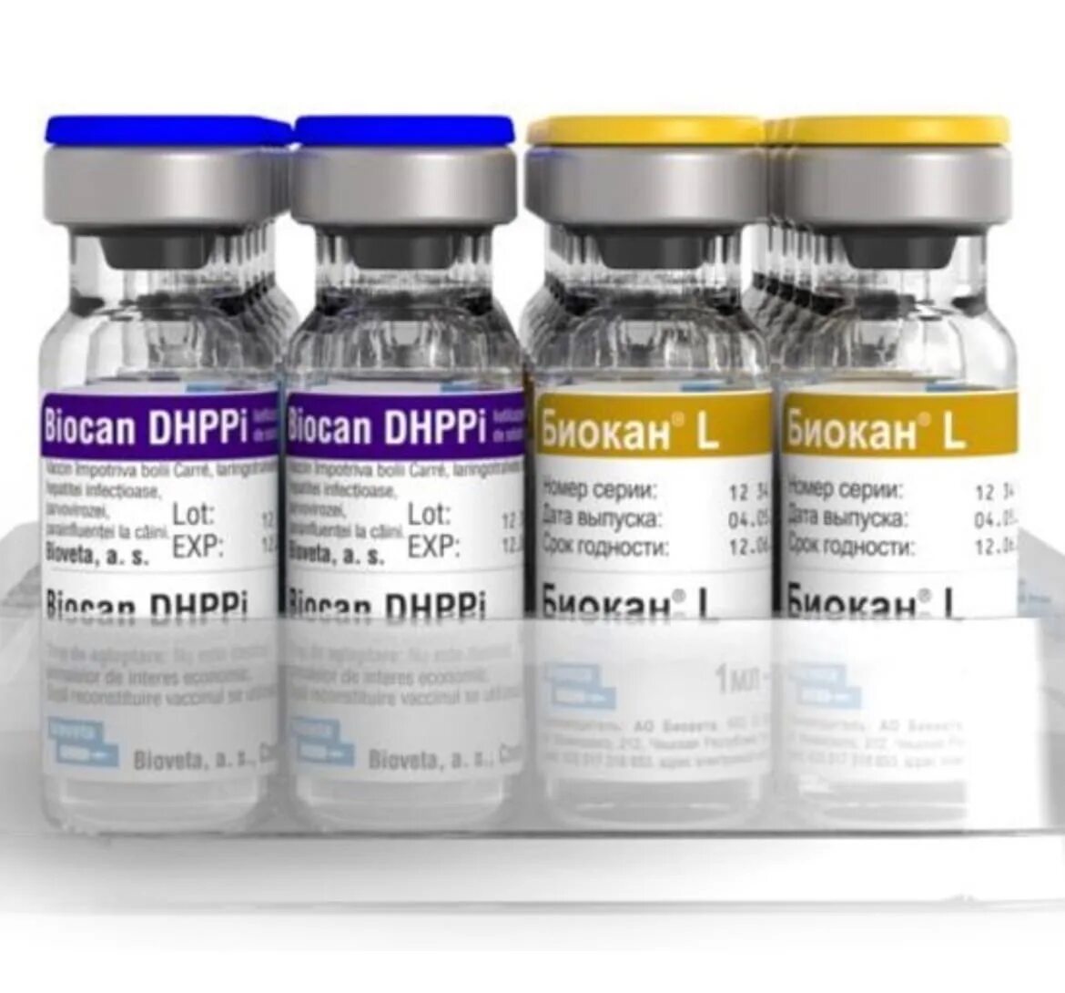 Биокан вакцина для собак с бешенством. Биокан DHPPI. Биокан DHPPI+LR. Биокан DHPPI+L. Биокан DHPPI + RL.
