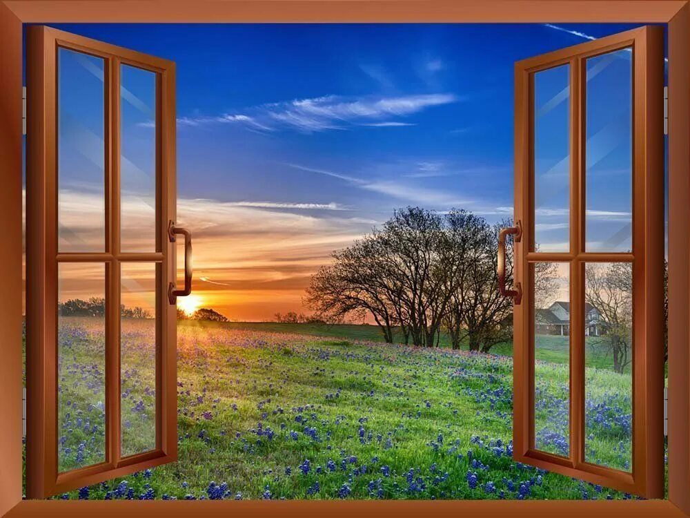 Window poster