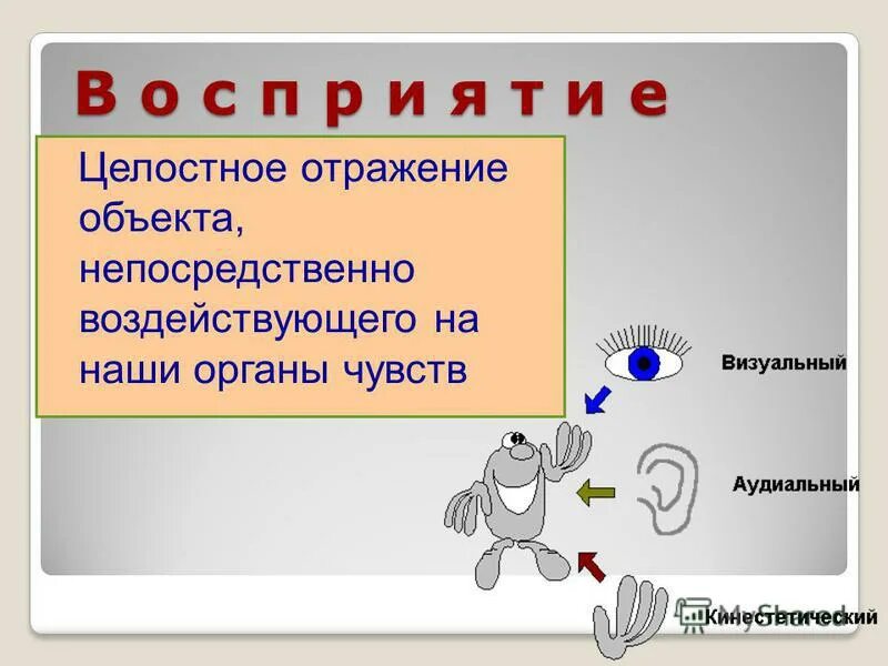 Форма познания с помощью органов чувств