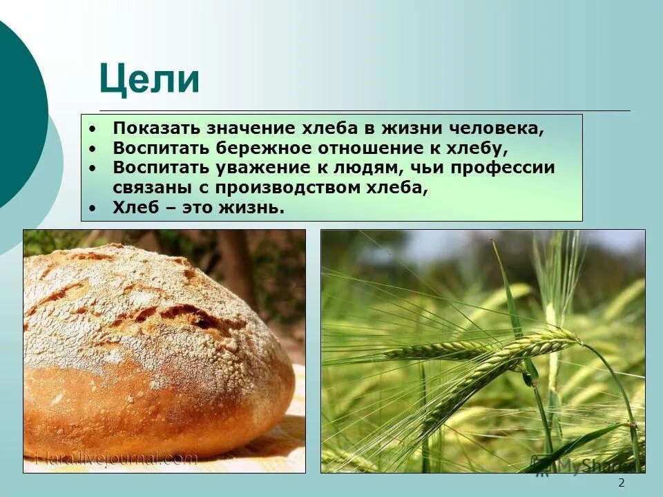 Из каких культур делают хлеб. Отношение к хлебу. Роль хлеба в жизни человека. Уважение к хлебу. Презентация на тему хлеб.