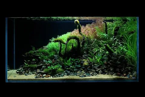Ada tank 360