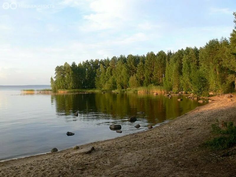 Сямозеро участки. Сямозеро петрозаводск. Руга сямозеро. Сямозеро участки. Сямозеро фото.