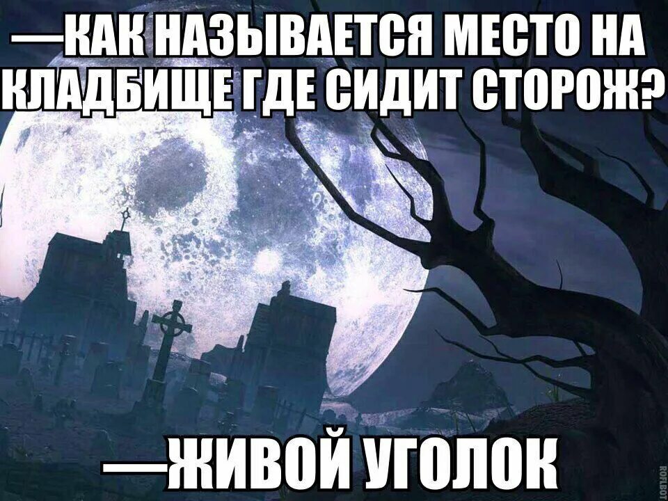 Живы угол думаешь. Межмирье. Как называется место на кладбище где сидит сторож. Живой уголок на кладбище прикол.