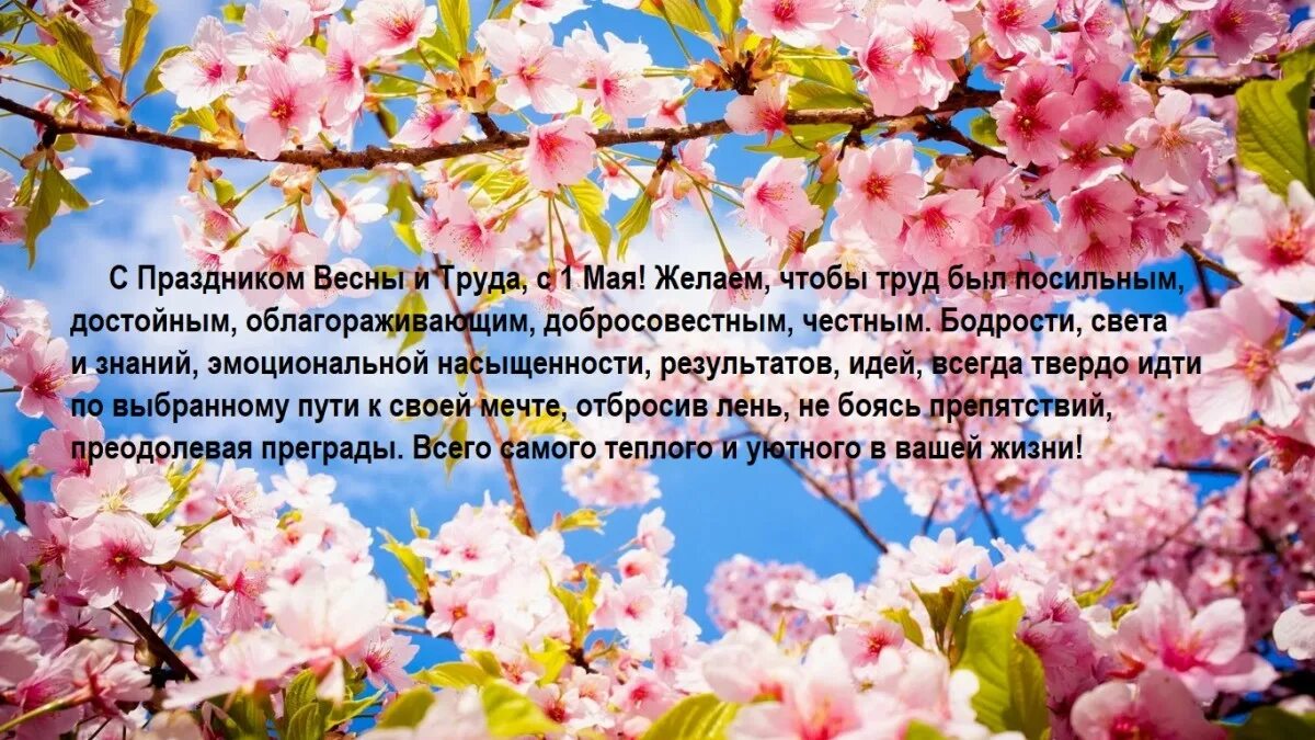 Какая погода на майские праздники в москве. С праздником весны. Праздник день весны. Праздник весны и труда фон. Сообщение о весенних праздниках.