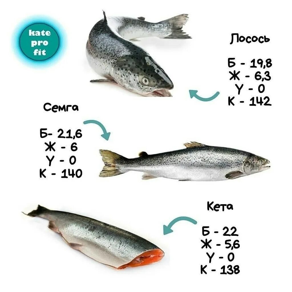 Калорийность разной рыбы. Калорийность видов рыбы. Жирные сорта рыбы. Жирные и нежирные сорта рыбы. Таблица лососевых рыб