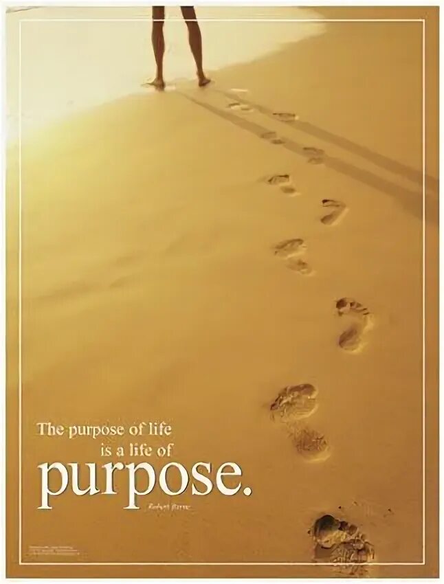 Purpose of life is. Life purpose. Футболка purpose of Life. Purpose in Life picture.