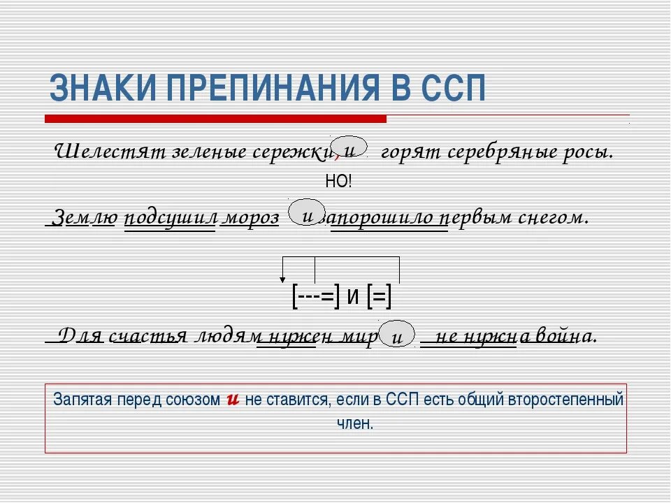 Знаки препинания в ССП. Знаки препинания в сложносочиненном предложении. Знаки препинания в сложносочиненном предложении примеры. Знаки препинания в ССП И СПП. Запятые в сложносочиненных и сложноподчиненных предложениях