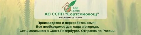 Дом семян интернет