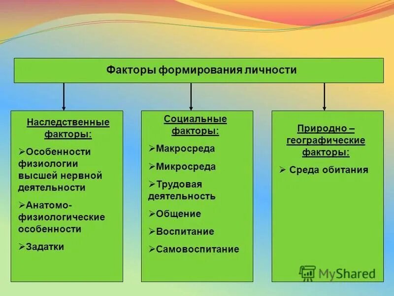 Особенность фактора информация. Социальные факторы развития личности. Факторы влияющие на становление личности наследственные факторы.