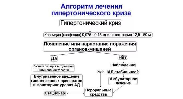 Препарат для купирования гипертонического. Гипертонический криз неотложка алгоритм. Купирование гипертонического криза алгоритм. Алгоритм фармакотерапии гипертонического криза. Алгоритм фармакотерапии при гипертоническом кризе.