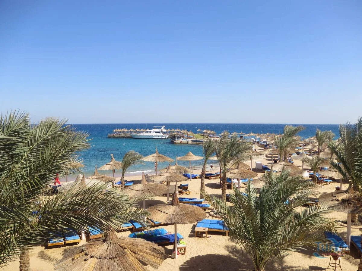 Бич Альбатрос Резорт Хургада. Альбатрос Бич Хургада 4. Beach Albatros Resort Hurghada 5 Хургада. Пляж Бич Альбатрос Хургада.