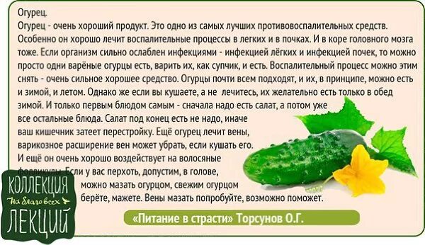 можно ли собакам огурцы свежие