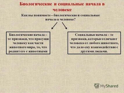 Понятие человек биологическое и социальное в человеке