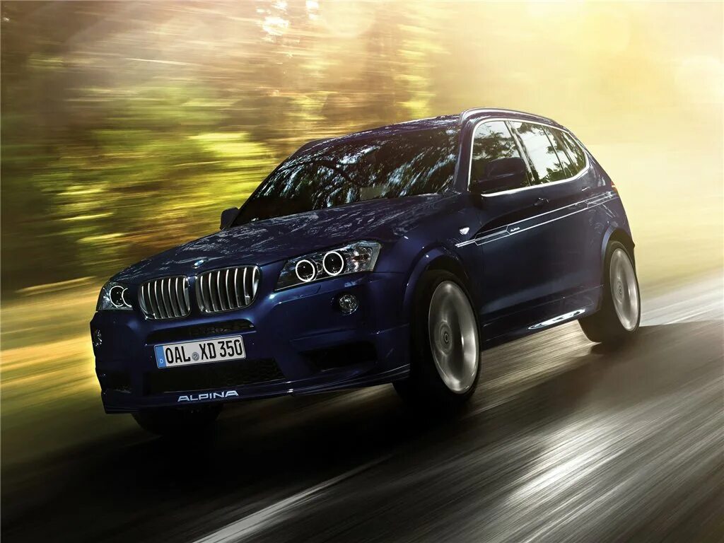 Бмв х3 технические. BMW x3 на альпинах. БМВ х3 Альпина. Alpina x3 f25. Alpina xd3.