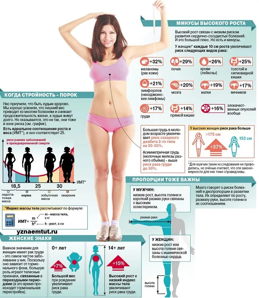 Инфографика тело. Как увеличить рост. Инфографика девушка женщина. Стройность инфографика. Остановился рост что делать
