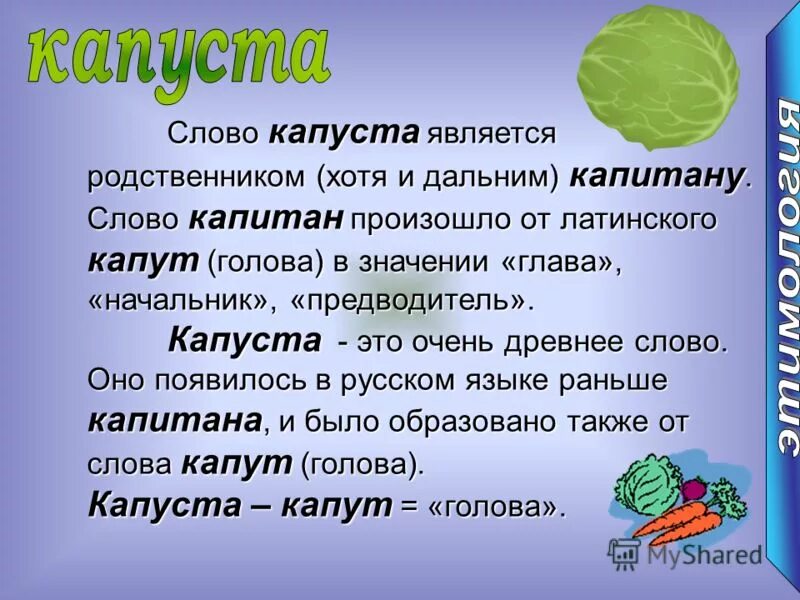 Руководитель значение слова. Руководитель значение слова
