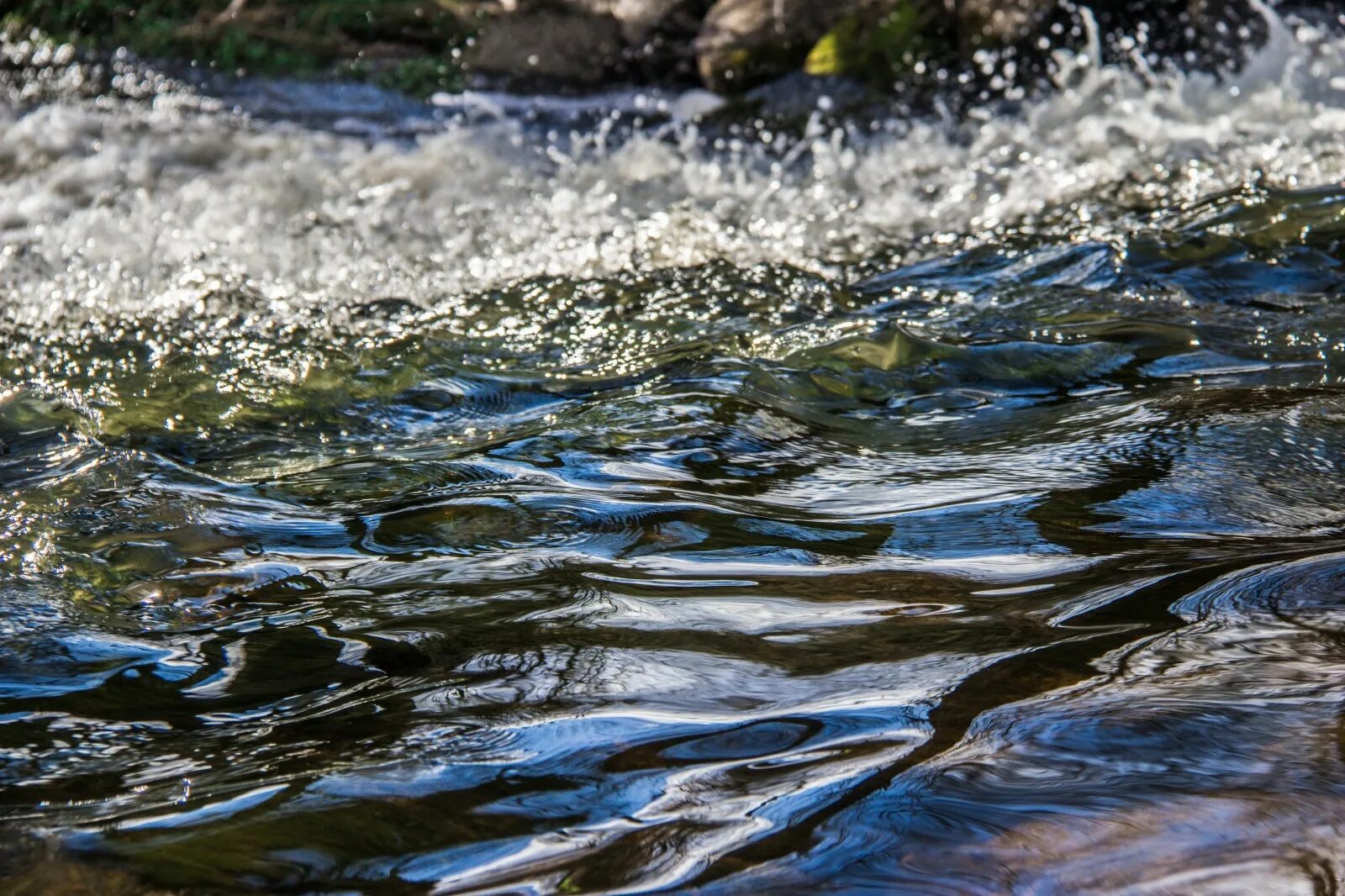Рыбы в океане. Водный биологический ресурс. Загрязнение океана. Стая рыб. Вода фото.
