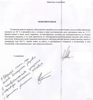 Как пишется объяснительная руководителю