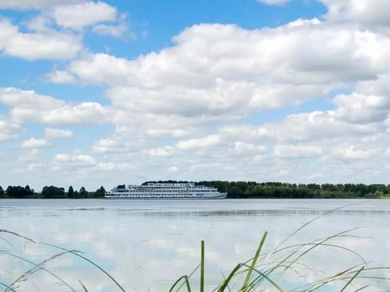 Реки в диево городищах. Некрасовское волга. Золотой колос некрасовское. Поселок некрасовский волга. Диево-городище ярославль.