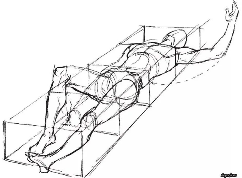 Губка райха. Человеческая фигура в перспективе. Лежачая поза. Лежащий человек с разных ракурсов. Лежачие позы перспектива.