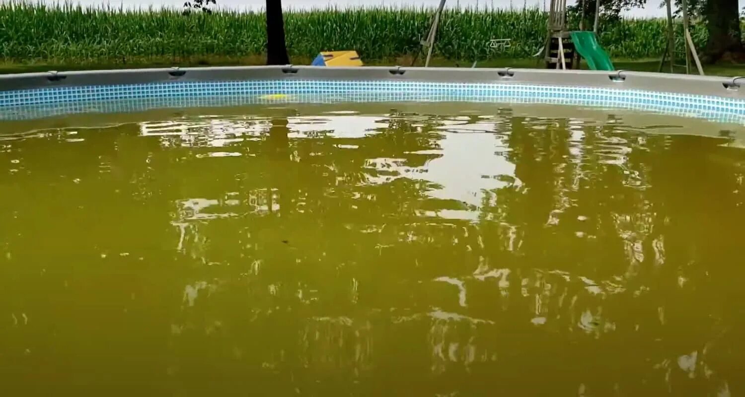 Бассейн водоросли. Мутная вода в бассейне. Водоросли в бассейне. Грязная вода в бассейне. Ржавая вода в бассейне.