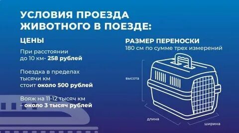 Правила перевозки животных в поезде 2023