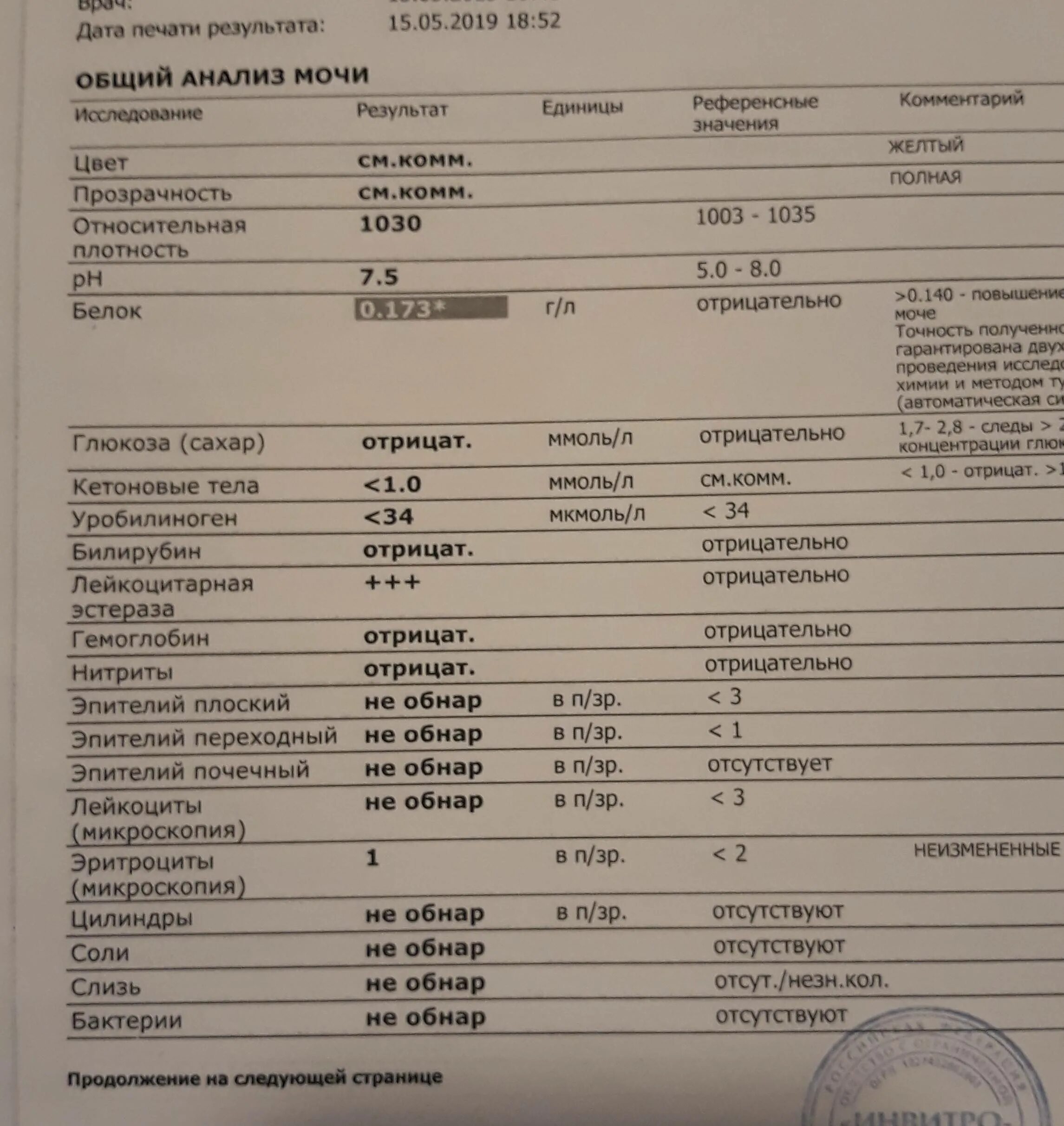 Сильно повышенные лейкоциты в моче. Лейкоциты в моче 25 мкл. Лейкоциты 2-4-6 в моче. Эстераза нейтрофилов 500 лейкоциты. Лейкоцитарная эстераза в моче.