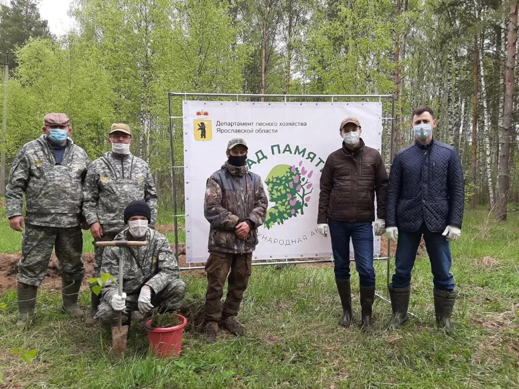 Лесничества ярославской области. Ярославская область лесное хозяйство. Директор департамента лесного хозяйства ярославской области. Ярославский департамент лесного хозяйства. Лесничество ярославль.