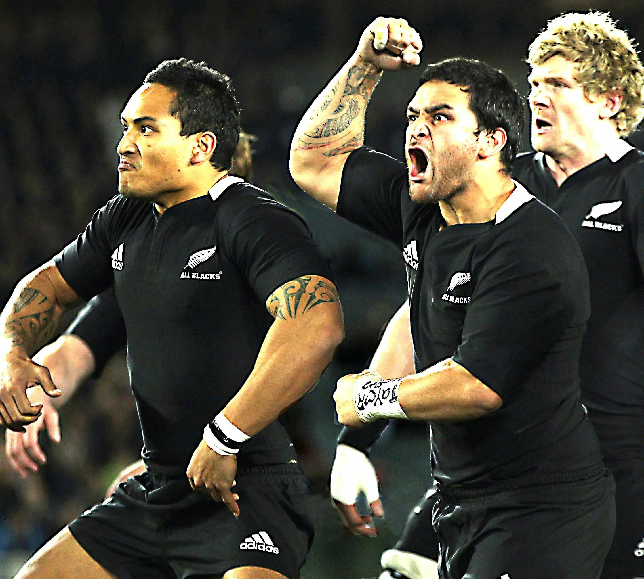New zealand number