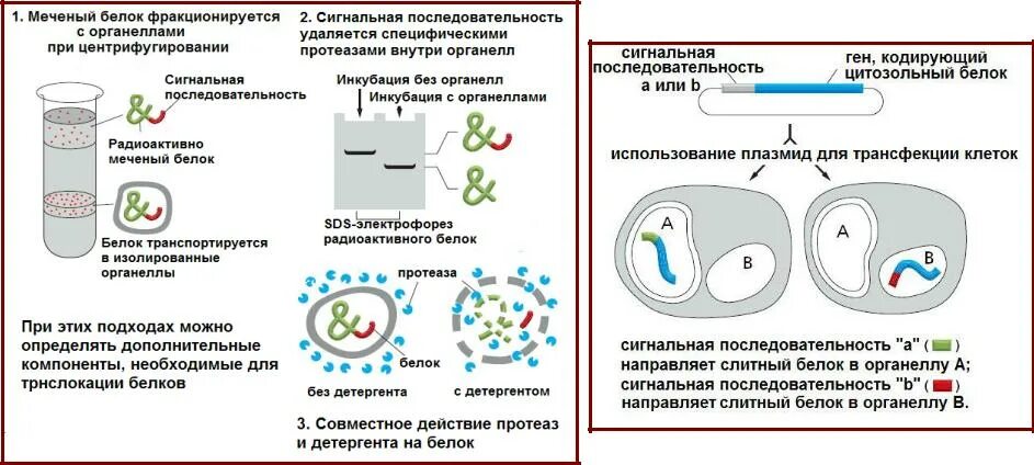 способы выделения смеси