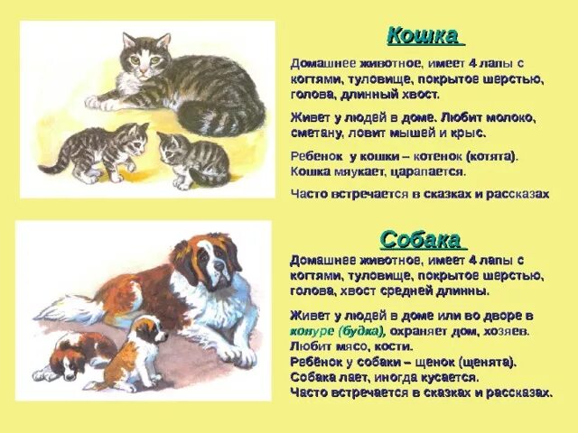 Рассказ о животном и человеке 3 класс. Рассказ одомагних животных. Описание домашних живот. Рассказ об тамошних животных. Рассказ о домашних животных.