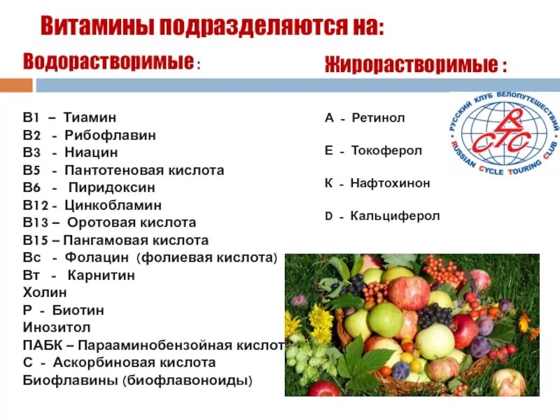 3 водорастворимый витамин. Группы витаминов водорастворимые и жирорастворимые. Жирорастворимые витамины. Витамины подразделяются на. Витамин а жирорастворимый или водорастворимый.