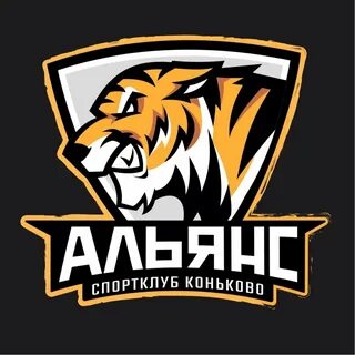 Спорт коньково