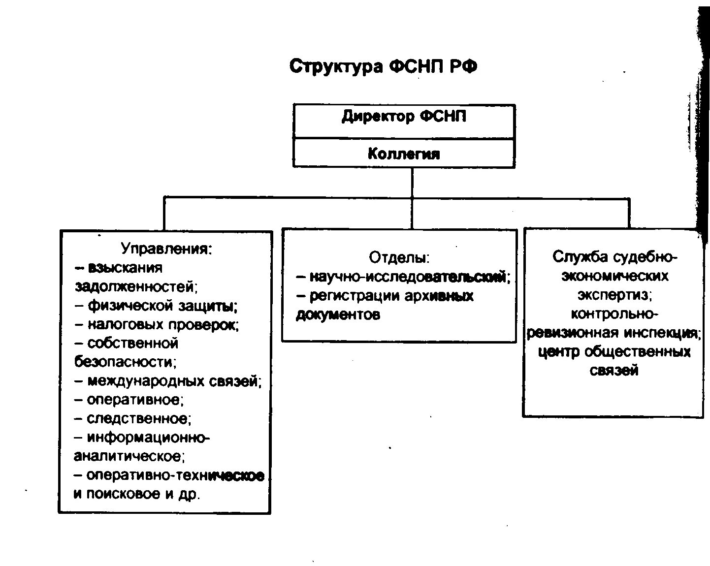Функции налоговой полиции. Функции налоговой полиции