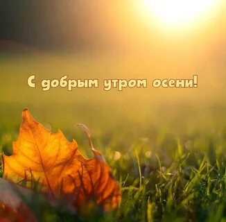 Осеннее утро рабочий лист 2 класс