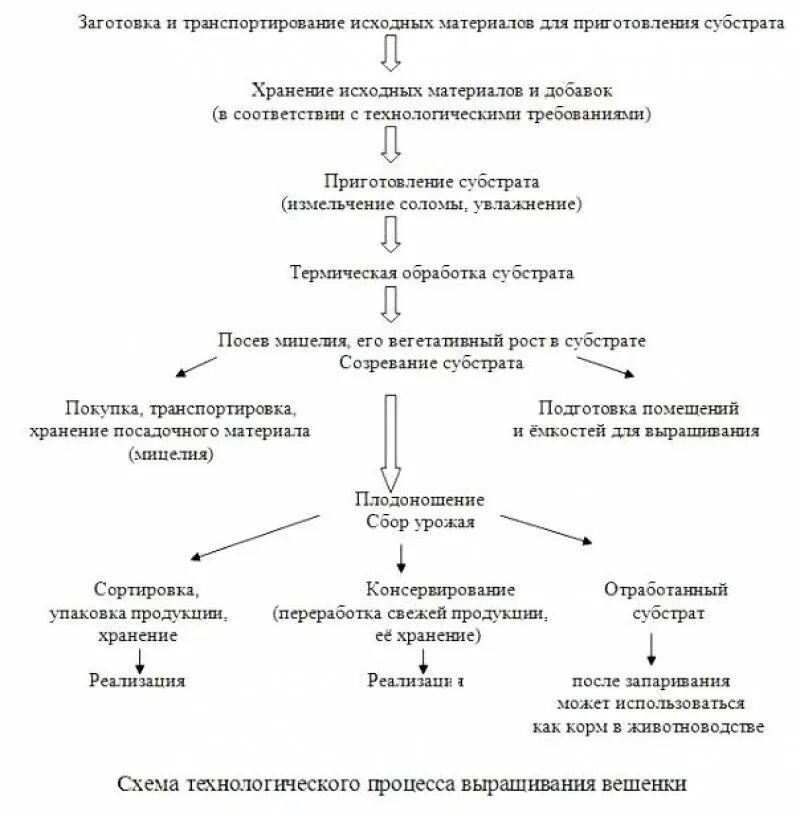 Технология возделывания яровой пшеницы таблица. Технологическая схема возделывания ярового рапса. Технологическая схема выращивания ярового ячменя. Технология возделывания кукурузы таблица. Технологическая схема возделывания ярового ячменя.
