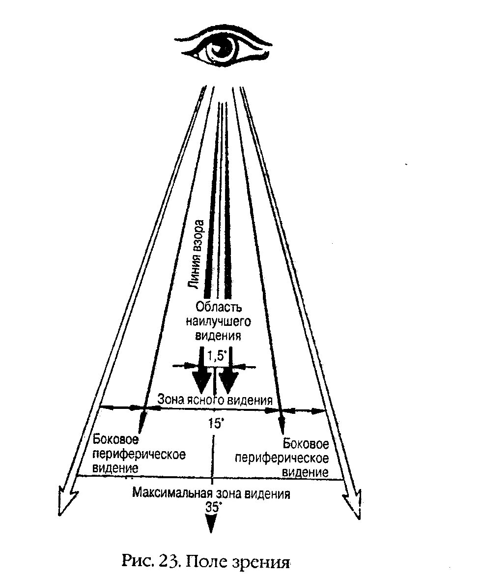 Периферическое зренеи е. Периферийное зрение. Боковое зрение человека. Что такое периферическое зрение у человека. Центральное поле зрения