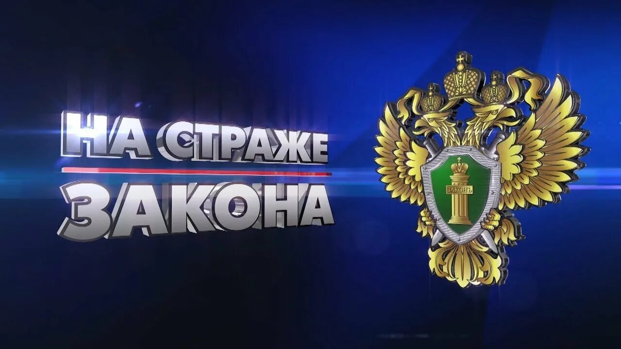 неподкупный сериал 2015. страж закона 2. юридическое сопровождение бизнеса уфа. страж закона 2. все по закону сериал.