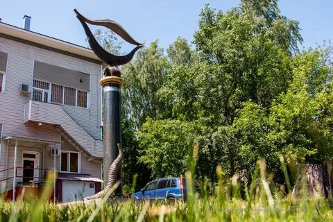 Международный центр пиявки